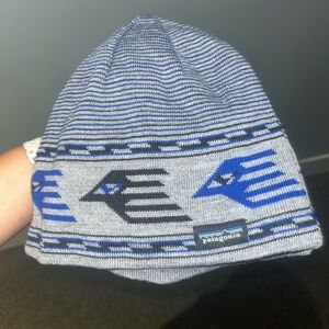 EUC Patagonia beanie